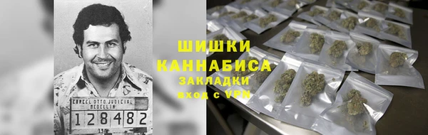 шишки Корсаков