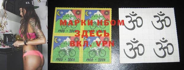 индика Костерёво