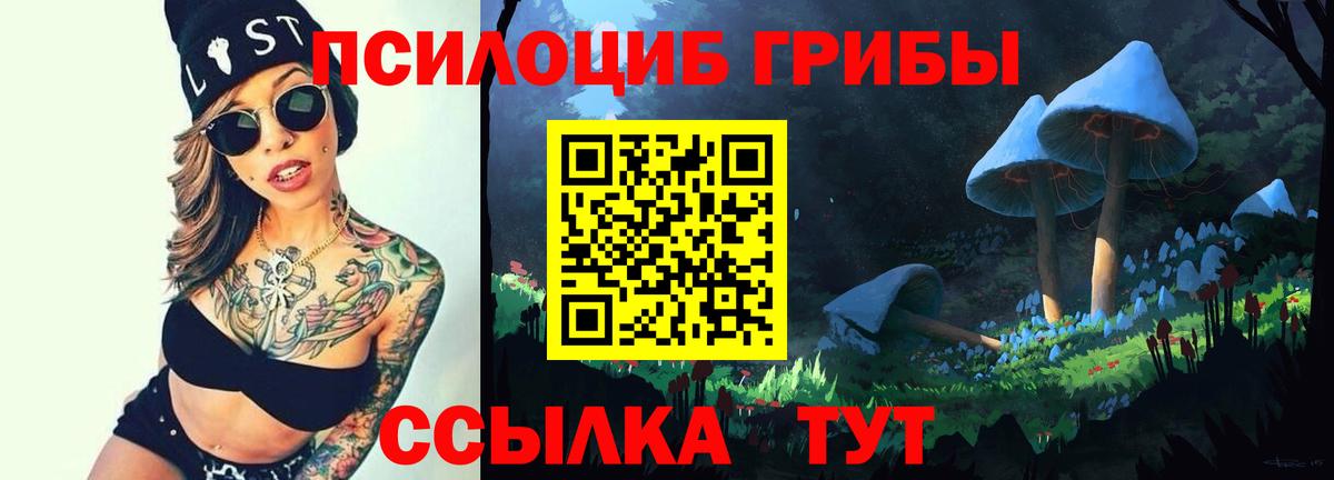 Галлюциногенные грибы Psilocybe  Псилоцибиновые грибы мицелий  Вход с VPN  сколько стоит  Якутск 